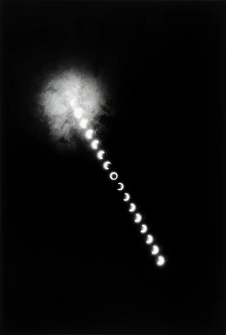 High-contrast photographic study — alignment as weather