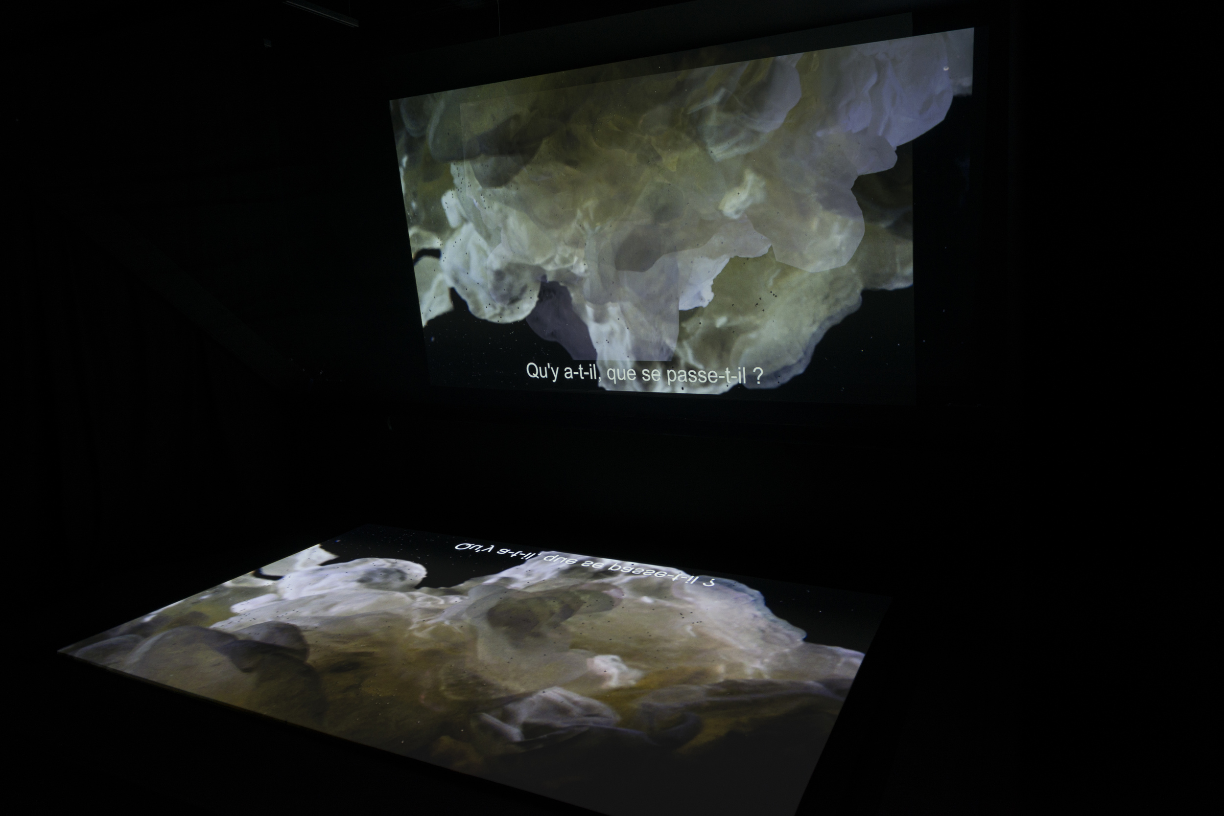 Tony Oursler©Lionel ROUX LUMA25